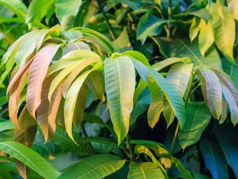 hair-care_167274952460