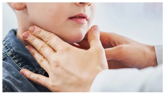 w-1280,h-720,format-jpg,imgid-01jewtjzktackvs3c1s9rxe5kr,imgname-mixcollage-12-dec-2024-12-28-pm-8713