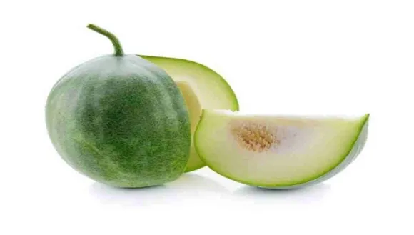 WhatsApp-Image-2025-07-02-at-8.22.21-PM-1024x580