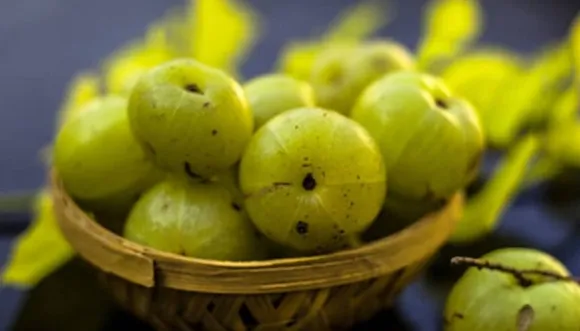 fotojet--29-_1200x675xt