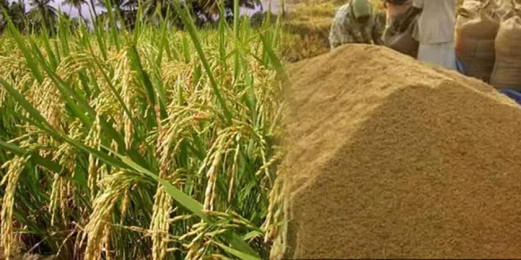 nellsambharanam-1755547139651-f18b19c9-ceb8-427d-b571-065a9653d1cc-900x450