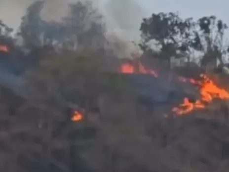 MANARKADU FIRE
