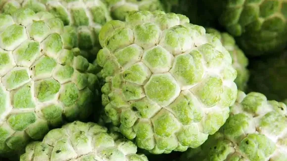 custard-apple