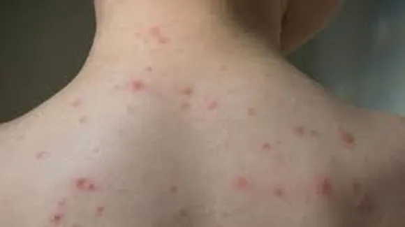 images - 2026-01-31T191131.731