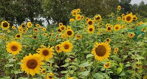 id-1745094270921-37cb0fb8-b0d9-485e-a591-15c117a2903c-640x347