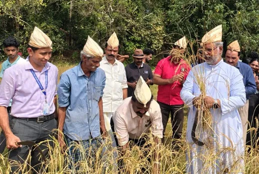 mar gugustinose college harvest