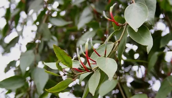 new-project-jpg_1200x630xt