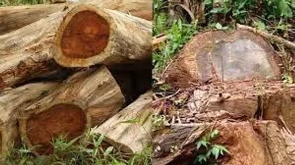 images - 2026-02-06T000200.091