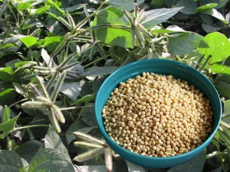 WhatsApp-Image-2025-07-07-at-10.28.44-AM-1024x768