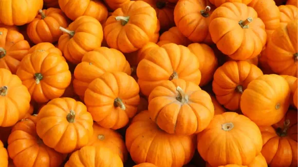 Pumpkin-benefits-2