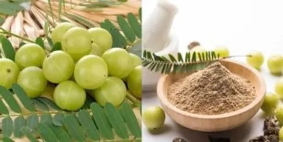 imageYlBCMXNObGU3bVIwcDhDbERQOEtsUT09