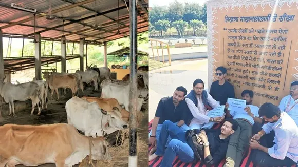 cowshelterstrike-1771322777925-78e22f66-1217-437a-8a8f-b68e309ca44a-900x506