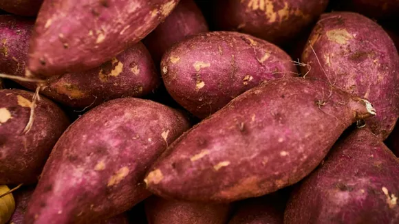 w-1280,h-720,format-jpg,imgid-01jdhgz5pf8kte5gzksfd13x1e,imgname-fotojet