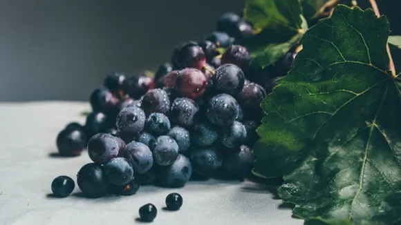 w-1280,h-720,imgid-01jkjmsahma742rp7cp00fraqx,imgname-fotojet--1-