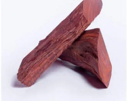 6eb35c8f-acd0-423b-8c9c-e7ed65e5d840