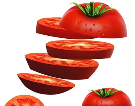 2cfd40148713425.Y3JvcCwyNDAwLDE4NzcsMCw1NTg