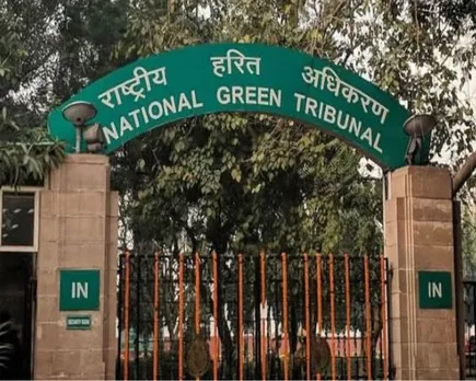 green tribunal.jpg