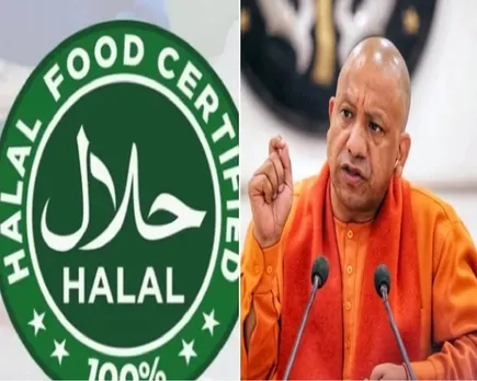 halal yogi.jpg