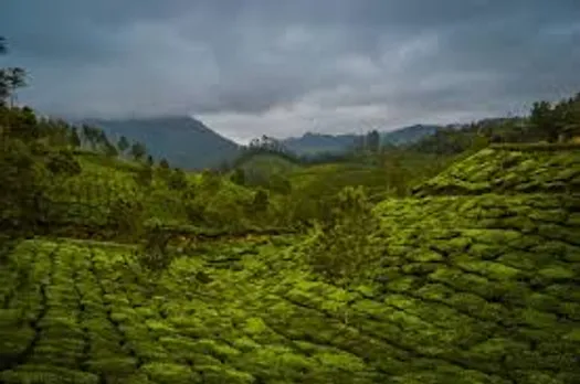 kytrertyuiuyt
