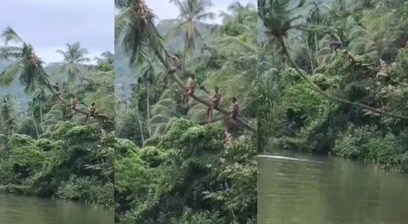 viral-video.jpg