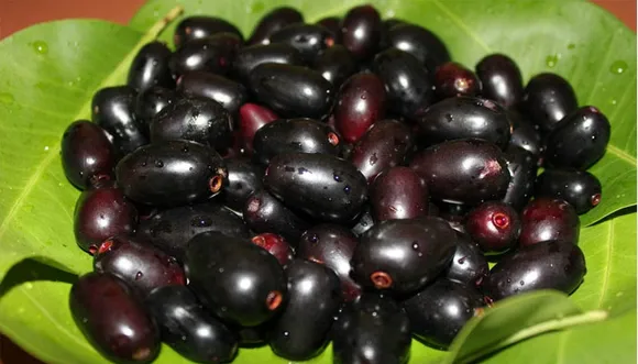 kerala