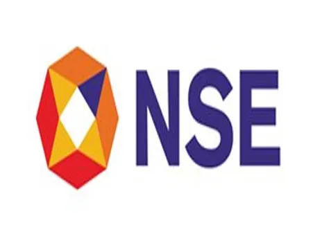 NSE1.jpg