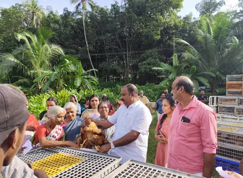 broilor chicken distribution