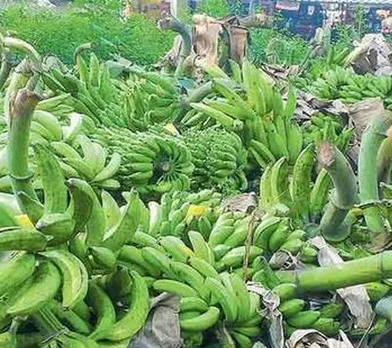 banana-2