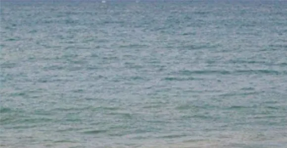 sea
