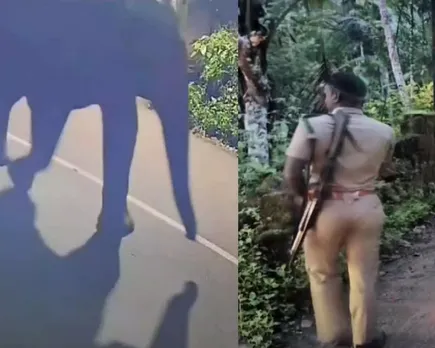 elephantone