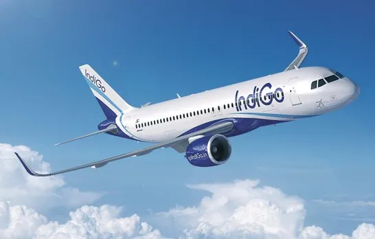 indigo 12