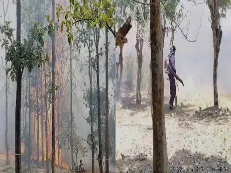 wayanad fire.jpg
