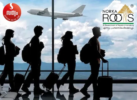 norka roots-1