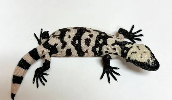Gila monsters