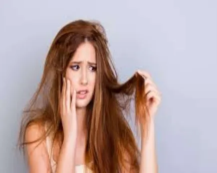  dry hair dry hair  dry hair 