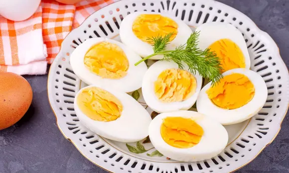 1426550-egg.webp