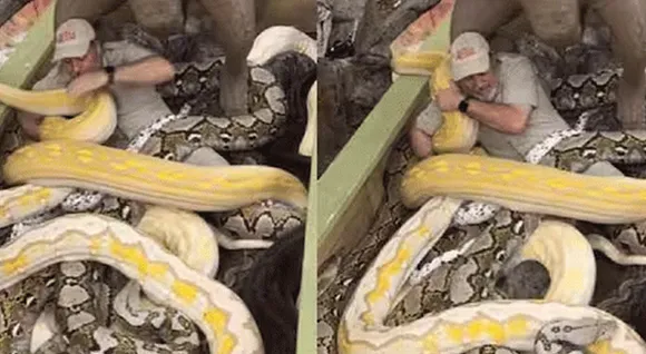 snake-1keev.jpg