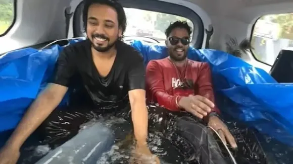 sacndu Untitlediy.jpg