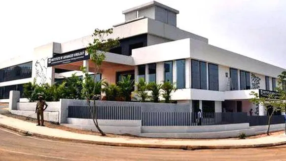 honnakkal nipa virus