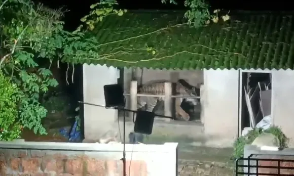 tiger waynaad.jpg