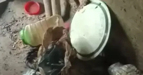 New Projaaaaaaa  ect (7).jpg