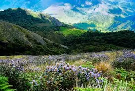 kerala
