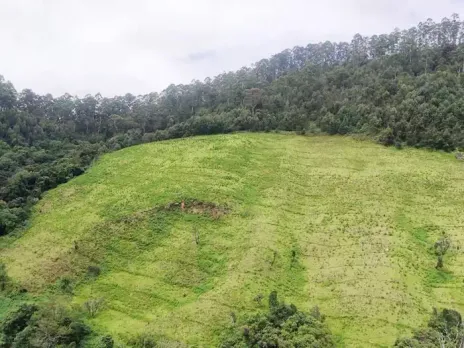 പഴത്തോട്ടത്തിൽ വിജയിച്ച ഹരിത വസന്തം വിസ്തൃതമാക്കാനൊരുങ്ങി വനംവകുപ്പ്