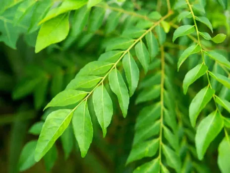 kerala