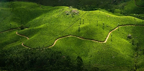 kerala tourism1.jpg