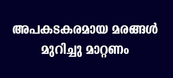 trees in danderous condision