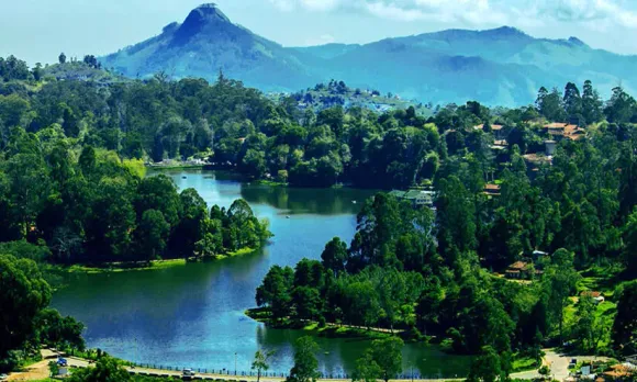 2305454-ooty-280622024