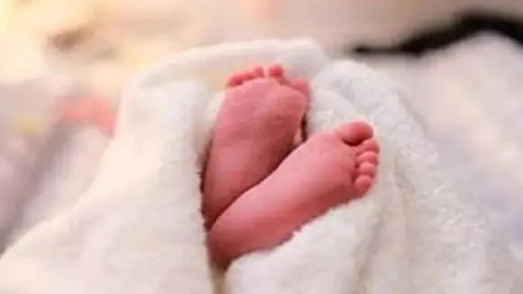 Newborn 