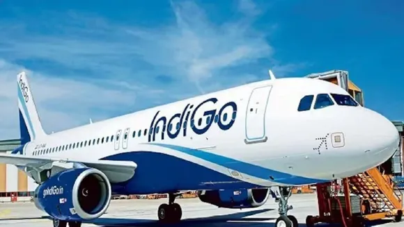 indigo Untitled..90.jpg 