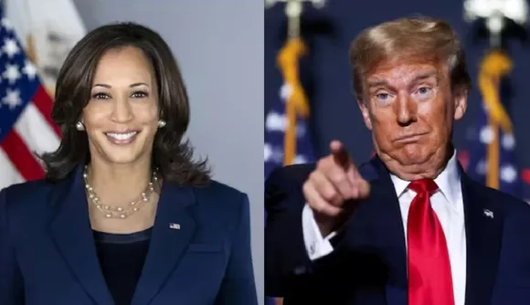 Untitledpotrump 